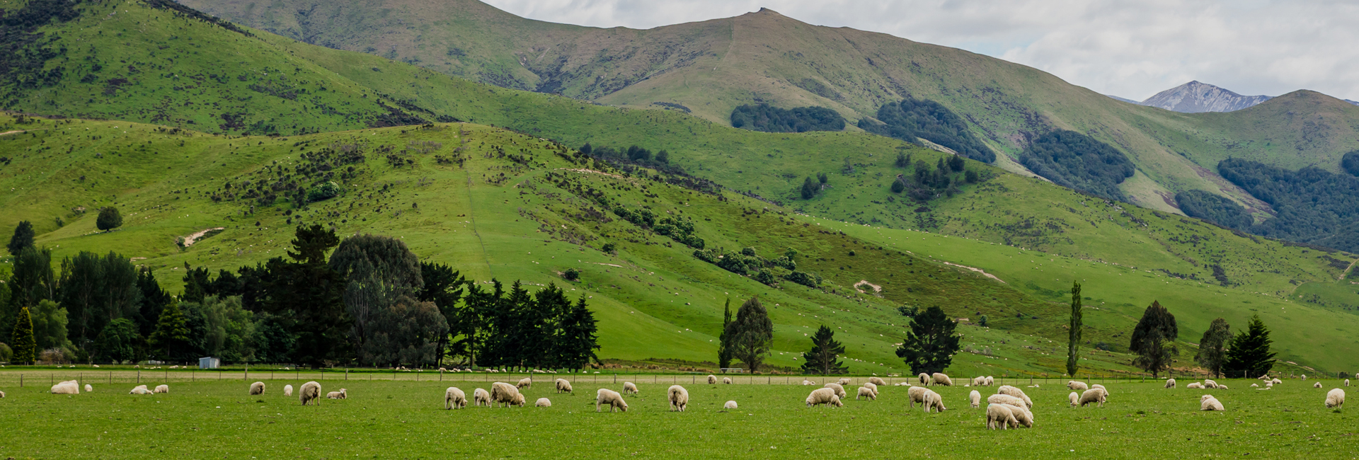 Exceptionally skilled and dedicated team