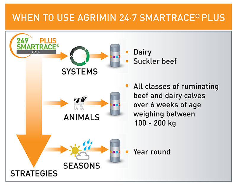 24·7 SMARTRACE® PLUS CALF