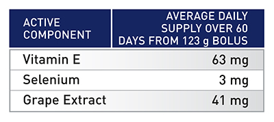 Beef Cattle ESey BREEDER ADULT CATTLE