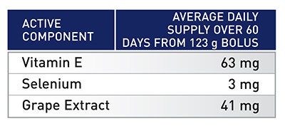 Beef Cattle ESey FINISHER ADULT CATTLE